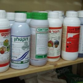 הדברת מזיקים בגן
